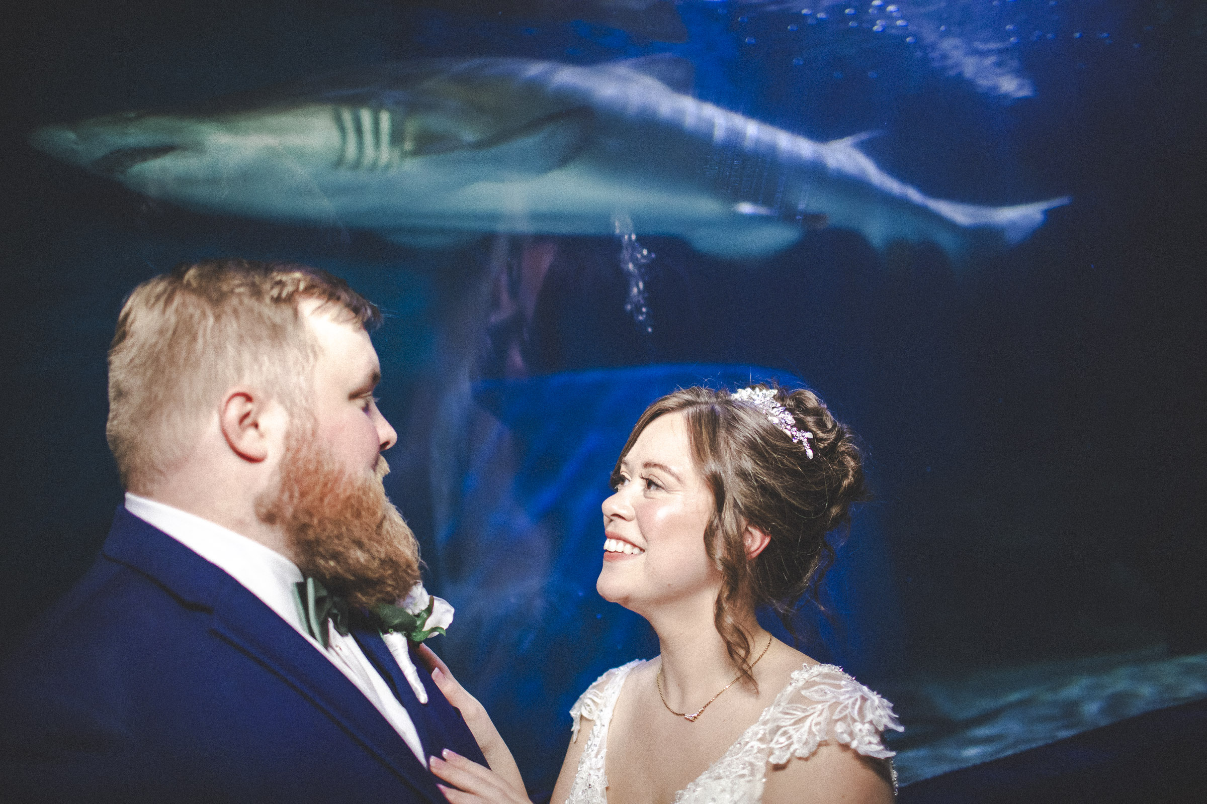 A cocktail hour with the sharks at the Cleveland wedding venue windows on the river 